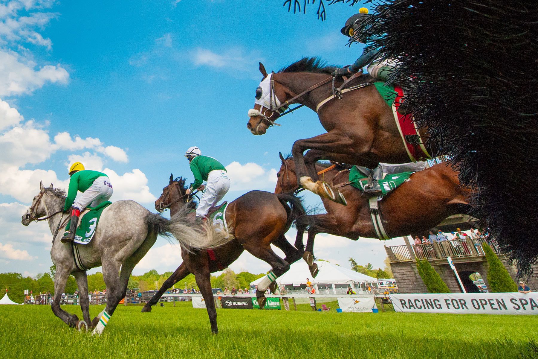 1r2014_05_17_radnor_hunt_races___1382