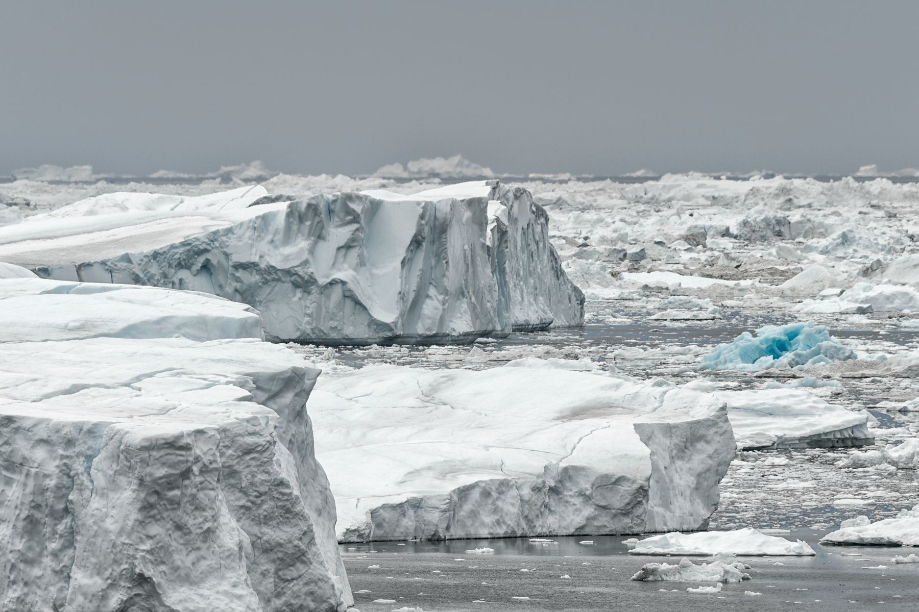 1r2015_06_24_greenland___0328