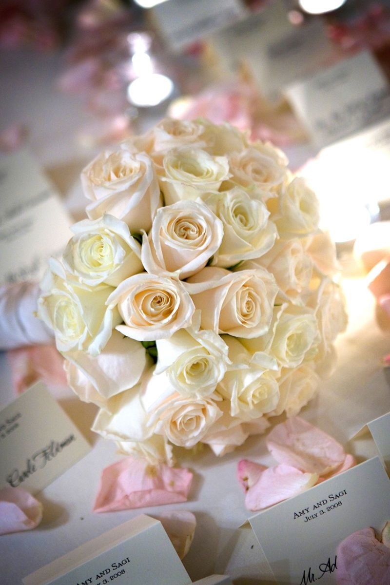 1r2008_07_03_amy_and_sagi_1267