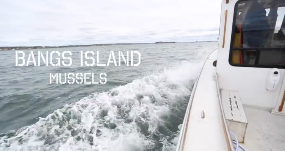 Screenshot 2025-08-18 at 5.51.41%E2%80%AFPM.png