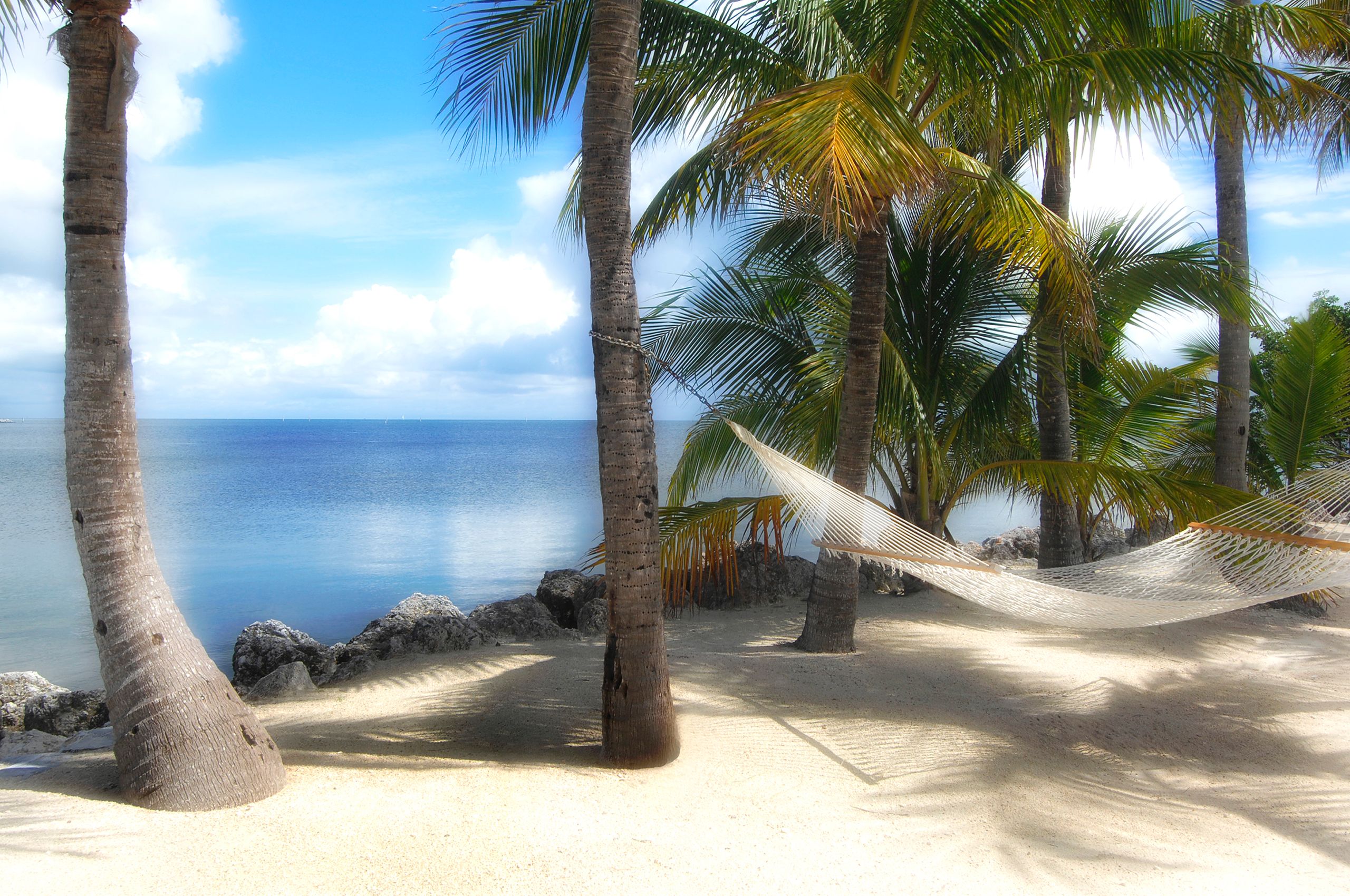 Buccanneer Hammock.jpg