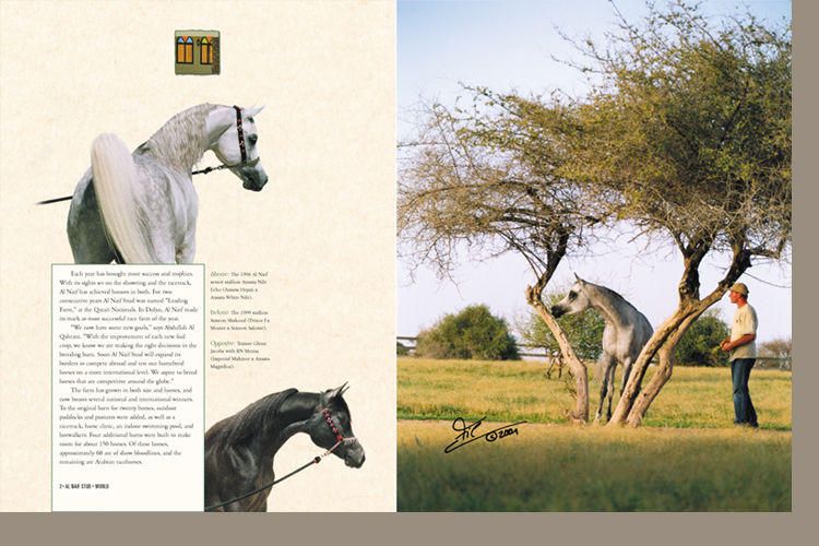 Arabian Horse World