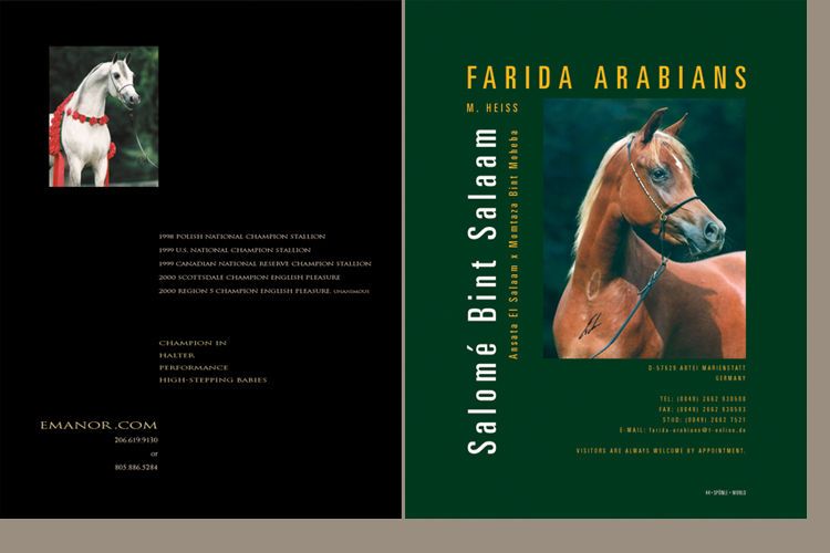 Arabian Horse World