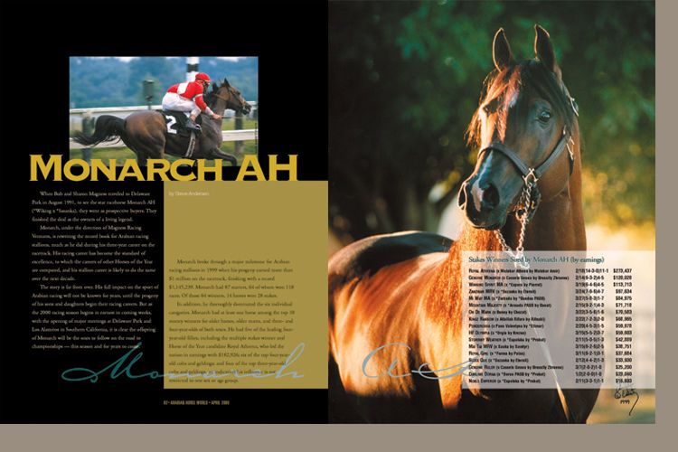 Arabian Horse World