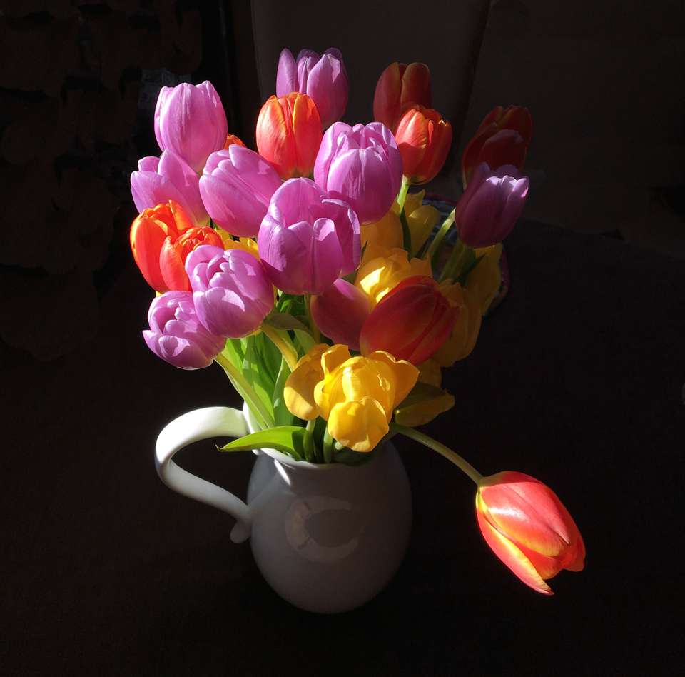 tulip on table2.jpg