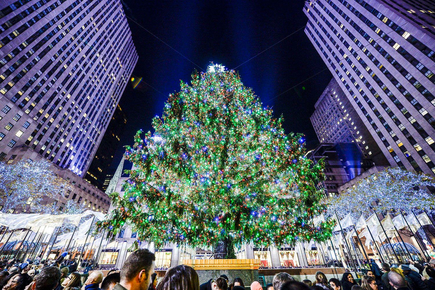 THE ROCKEFELLER CENTER CHRISTMAS TREE.
