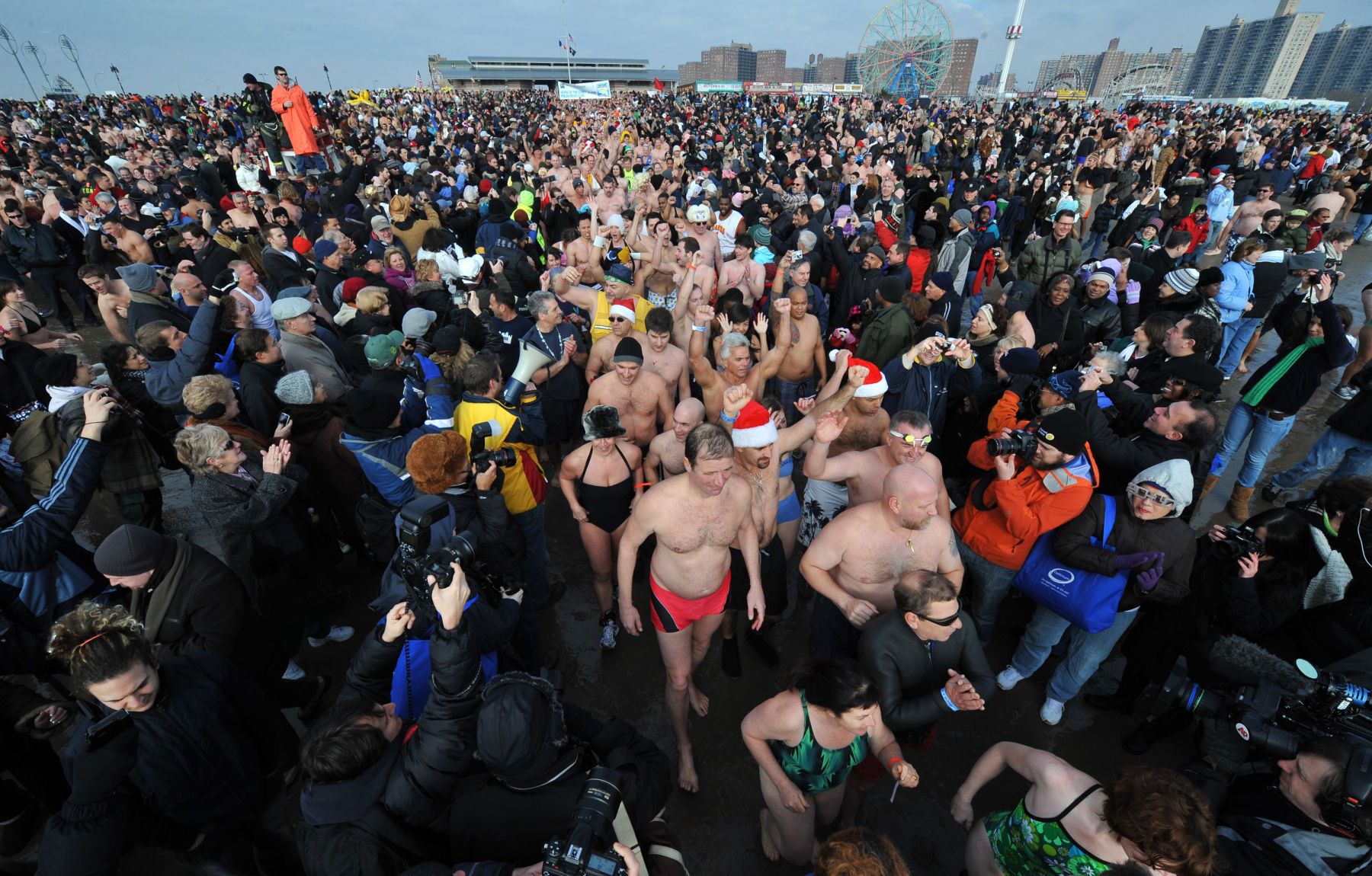 1010110_polar_bearspm011