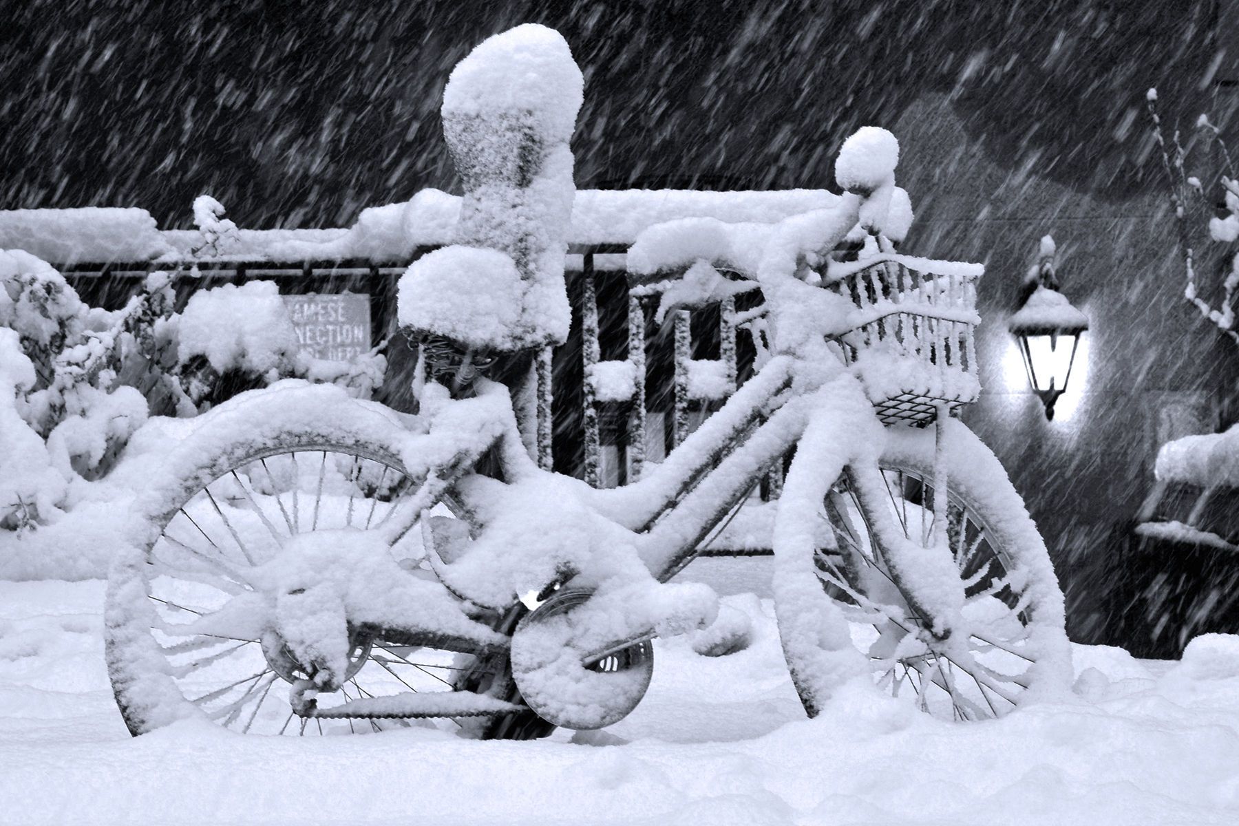 1021010_snow_pixpm169