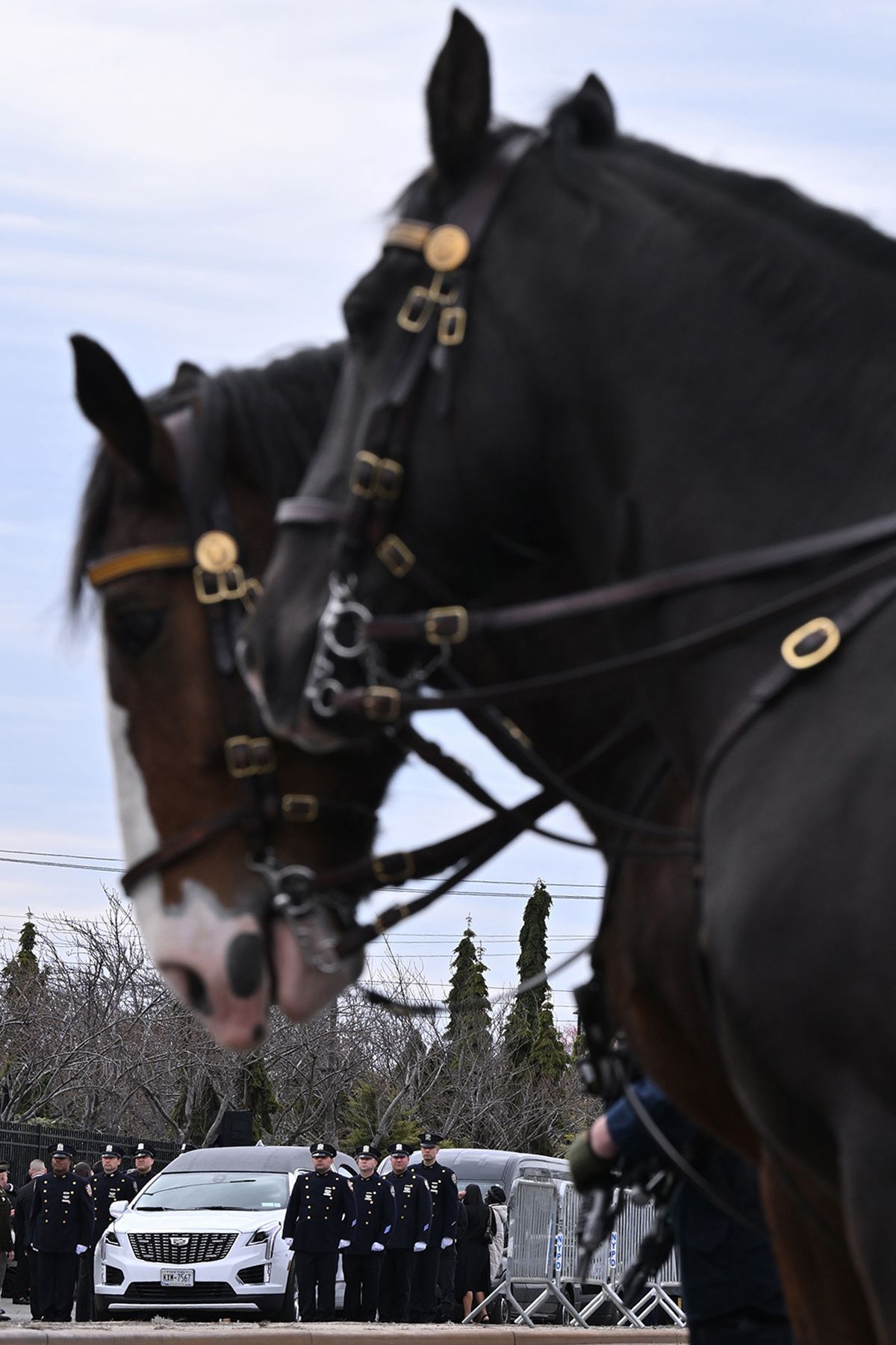 NYPD U.S Army National Guard Maj. Sorffly DAVIUS