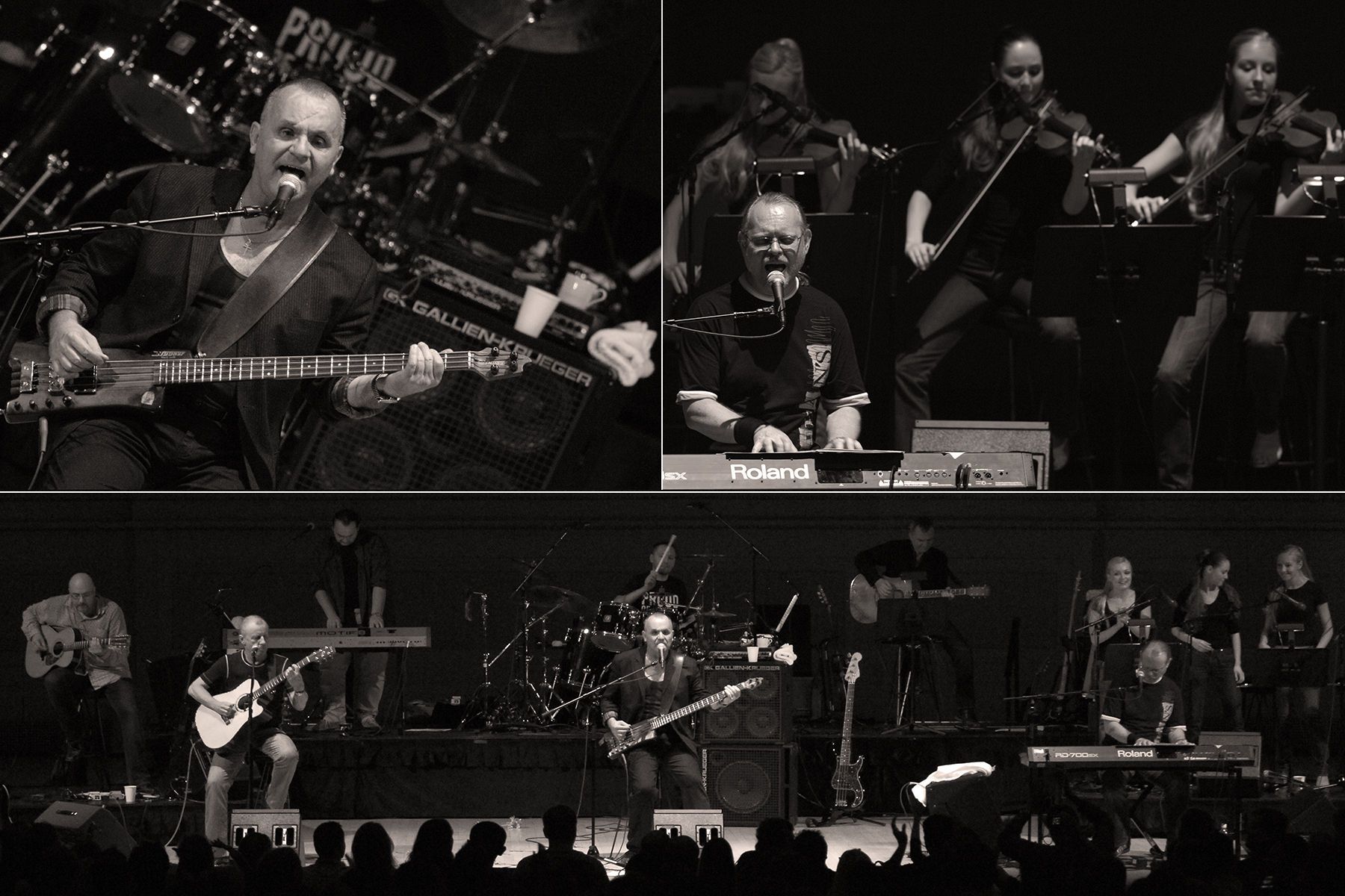 ELAN Unplugged in CARNEGIE HALL, NYC