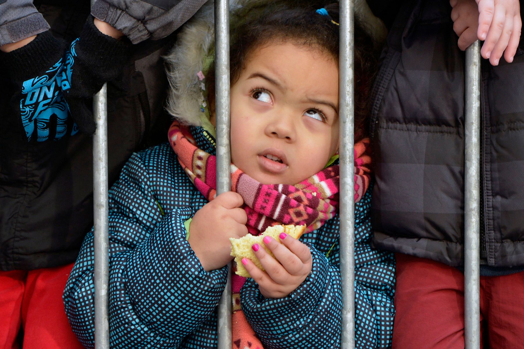 THE MACY's THANKSGIVING DAY PARADE.