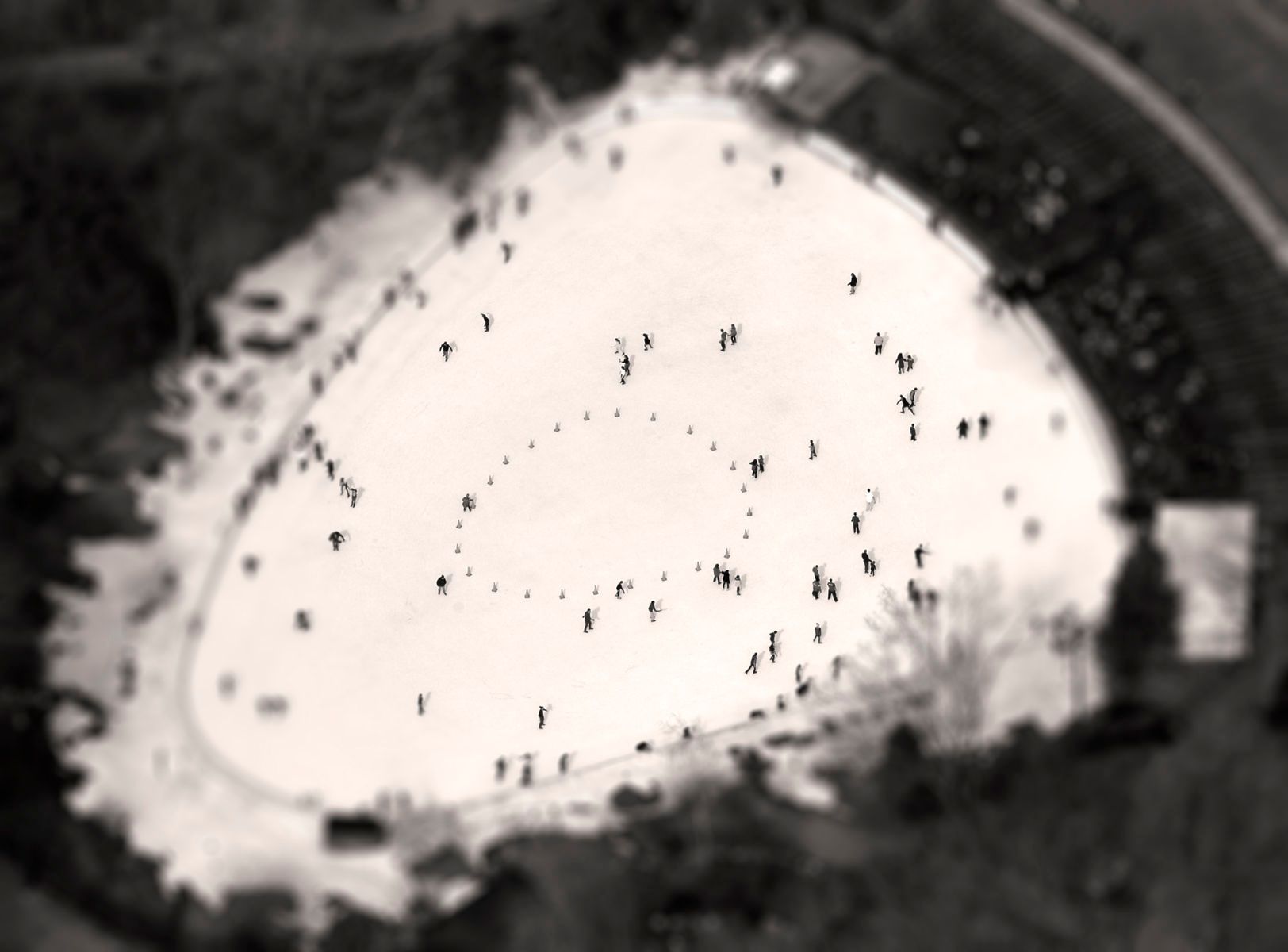 1wollman_ice_skating_rink