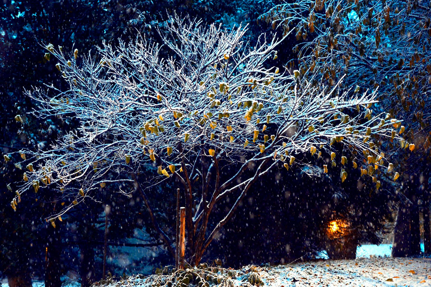 1r110712_nor_easterpm349