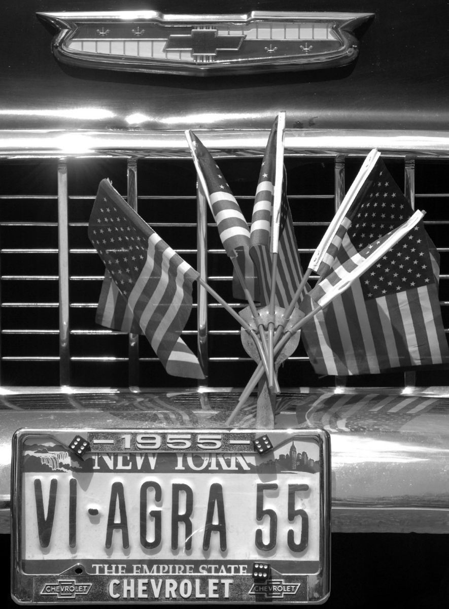 ST.PATRICK's DAY PARADE.