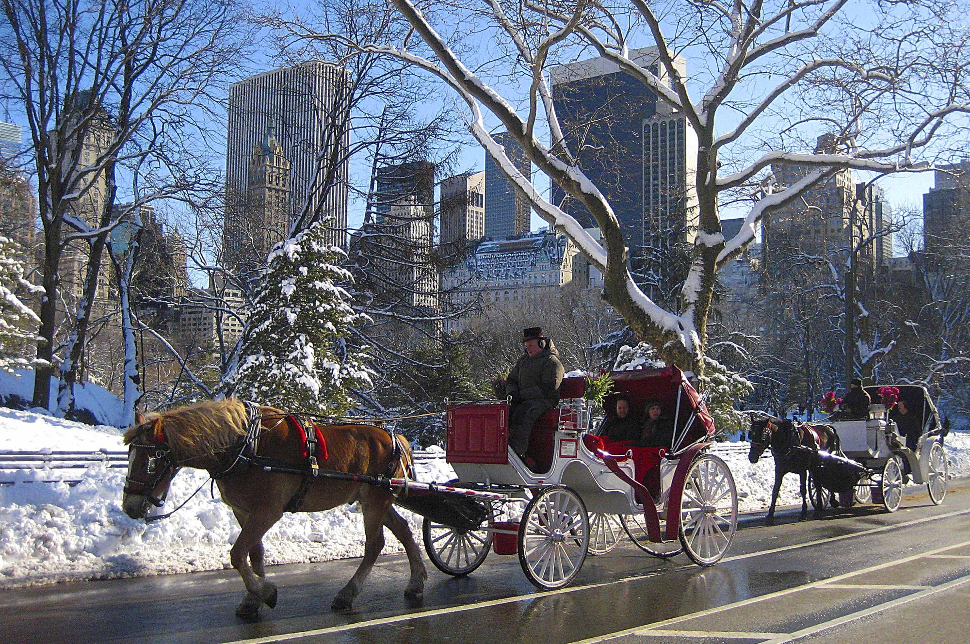 Carriage_CentralPark.jpg