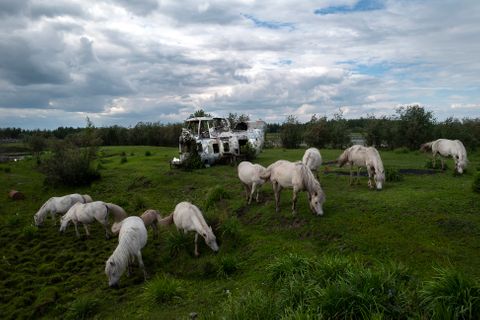 EastofE005.JPG
