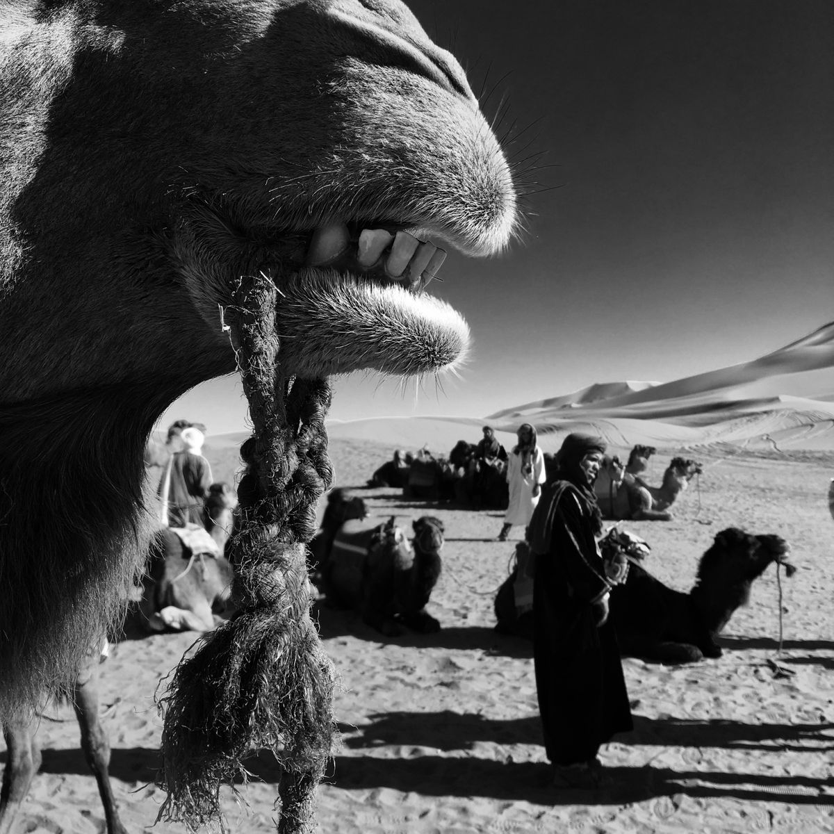 MoroccoTravel06.JPG