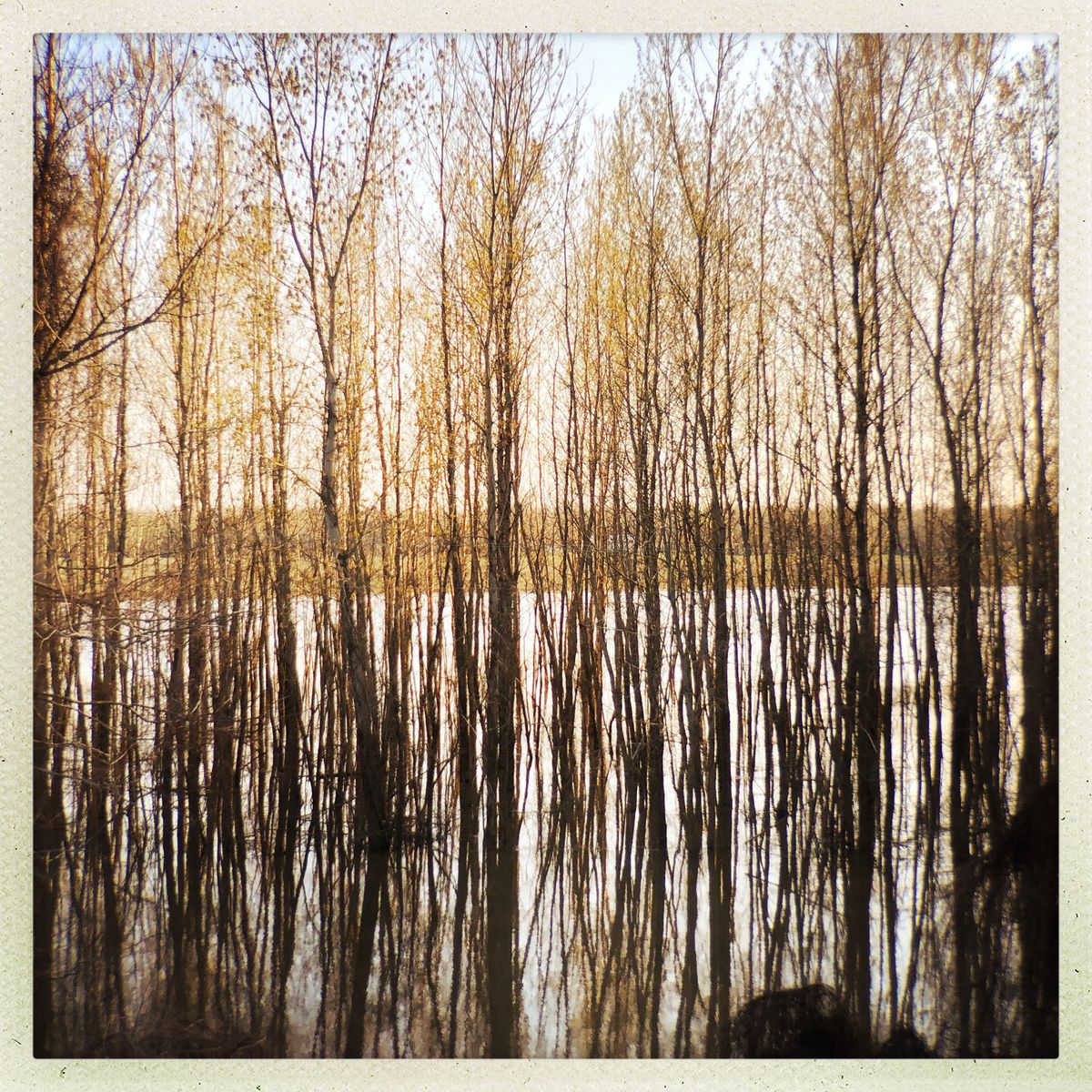 HipstamaticPhoto-544577499.032826.JPG