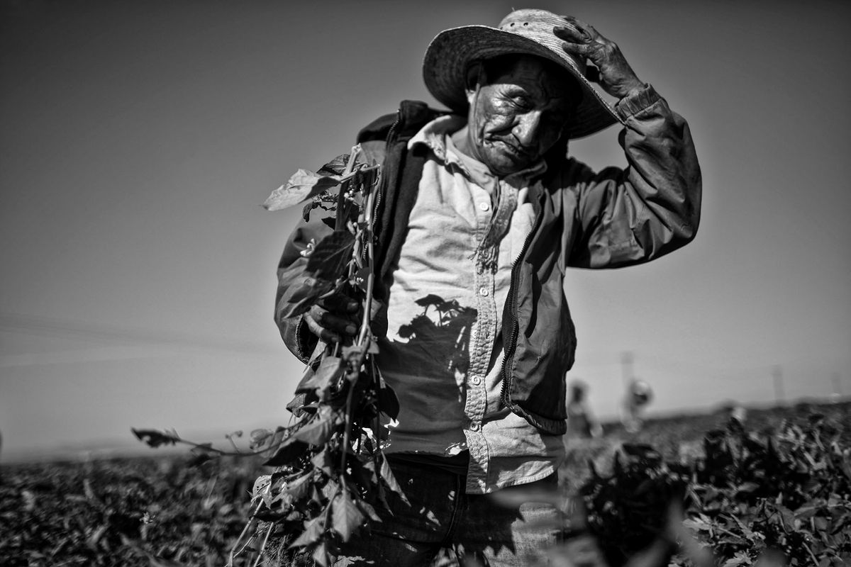 1880086_me_shooting2_mrc 0055.JPG