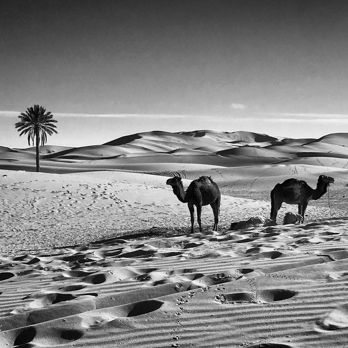 MoroccoTravel01.JPG
