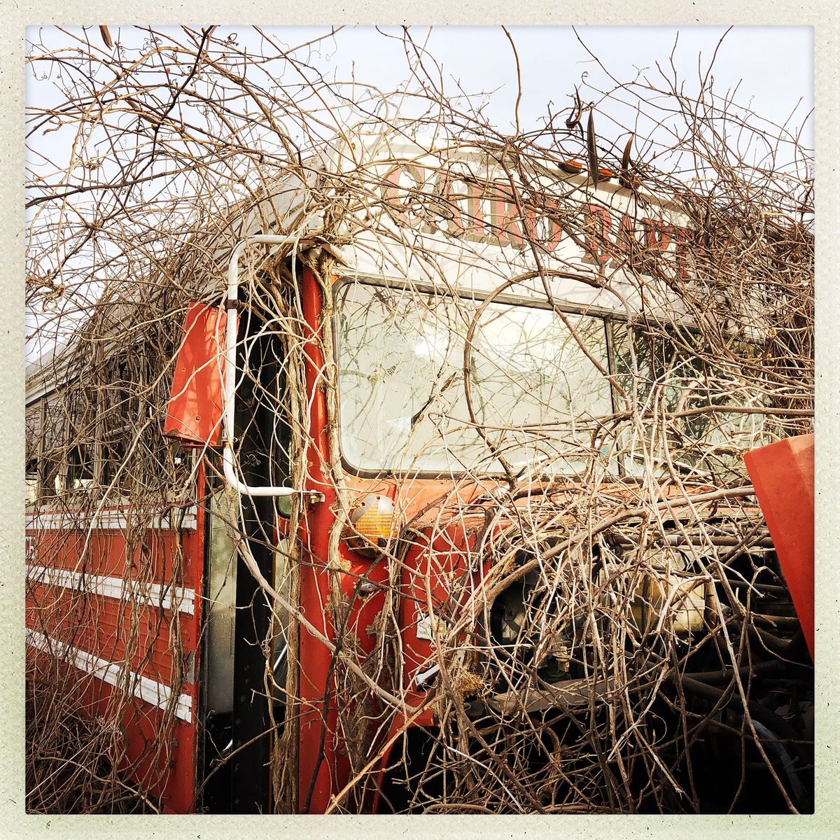HipstamaticPhoto-544628218.016758.JPG