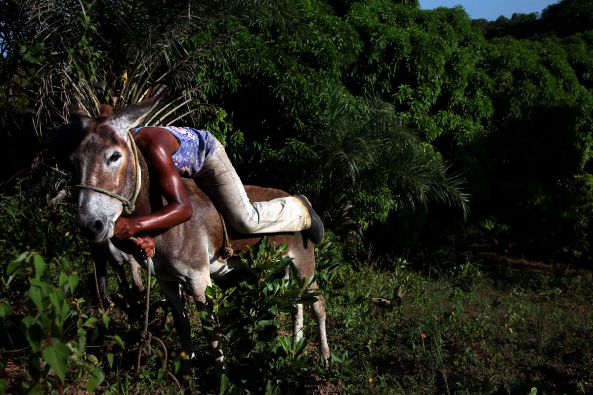 Brazil001.JPG