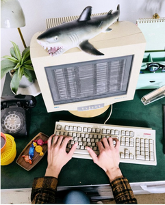 Screen Shot 2026-03-09 at 8.16.42 PM.png