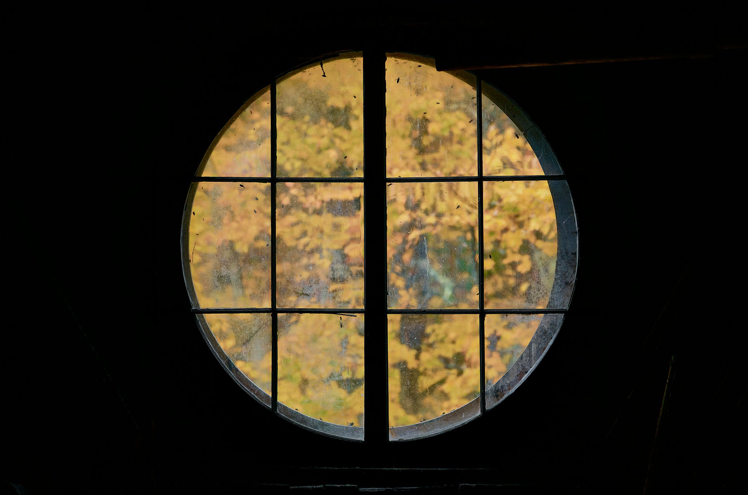 Alder Creek Fall 2025 26077 copy.jpg