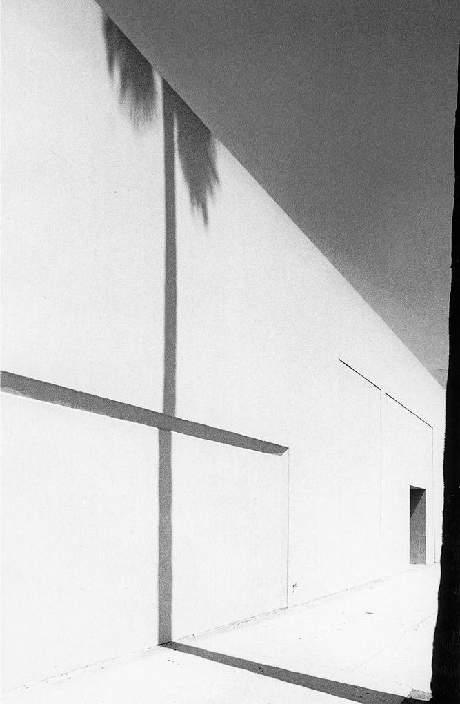 1tree_shadow_la