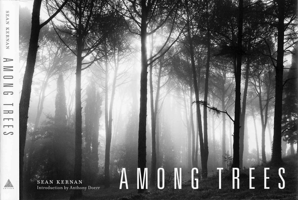 1sk_among_trees_cover