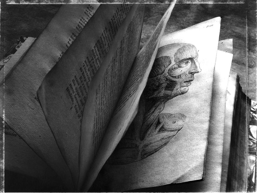 1anatomy_book