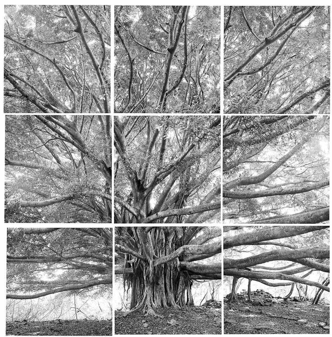 1banyan_9_part