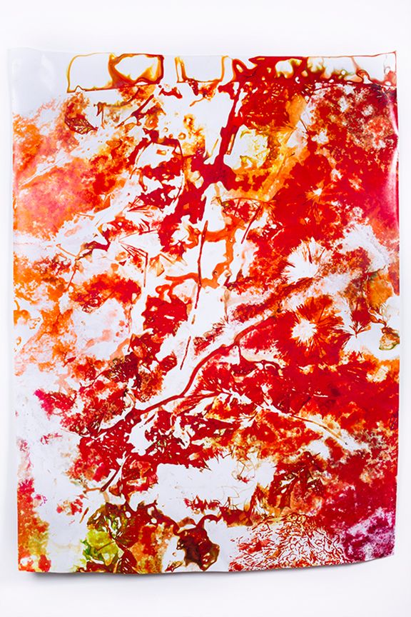 1snowprint4.jpg
