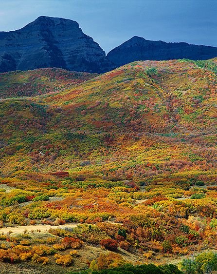 MIDDAY STORM, EAST SIDE, 1989