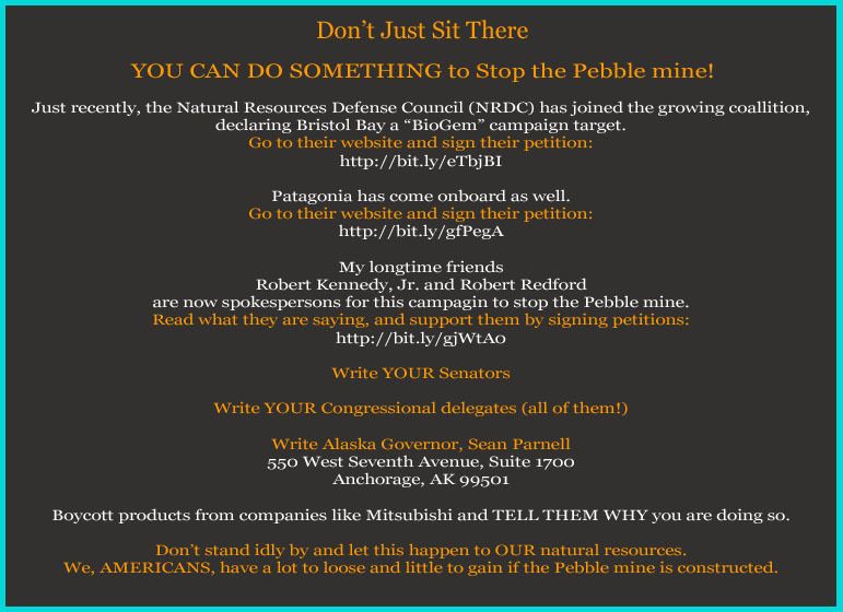 1r6Text_Pebble_action