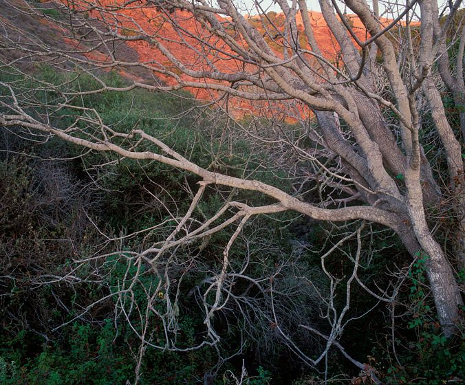 (UNTITLED)Photograph not currently available as print.  For commercial use and reproduction rights contact our studios at peace2rth@mac.com. (UNTITLED)