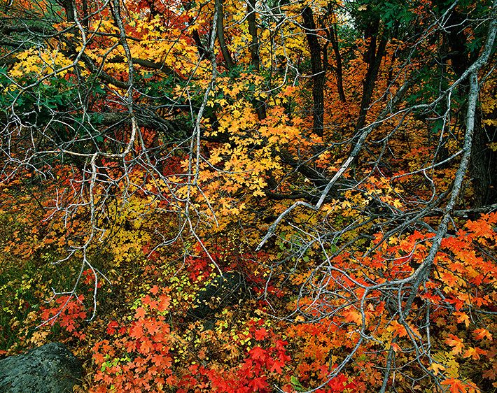 LOST IN THOUGHT, 1989
