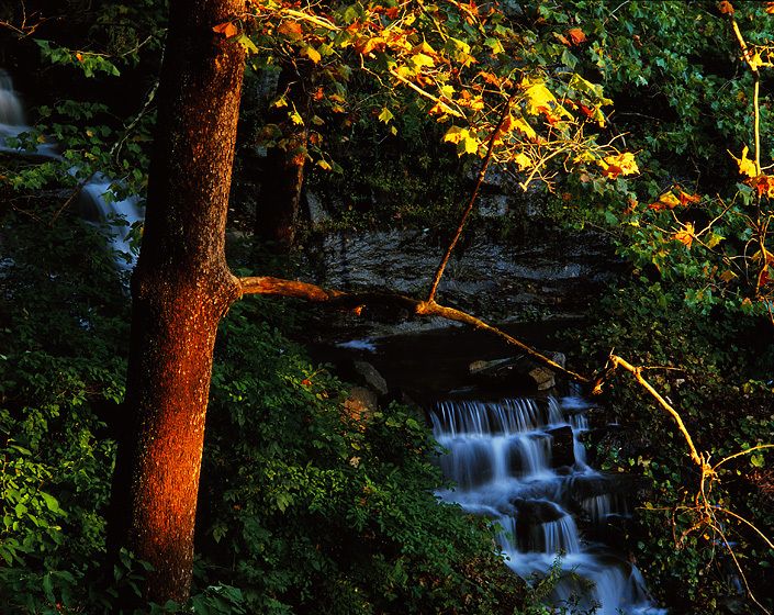 QUARRY POND WATERFALL, MANITOGA,  1983Manitoga was the Hudson valley home of American designer, Russell Wright, While working on a commission to photograph the Hudson river, I also received a New York State Council on the Arts, Architecture, Planning & Design Grant to photograph the property. Russell believed in designs derived from, and integrated with nature. This is the view from the sundeck of his house, overlooking an abandoned quarry pond, now made as a swimming pool with a descending waterfall, the result of some nearby stream "re-engineering." QUARRY POND WATERFALL, MANITOGA,  1983