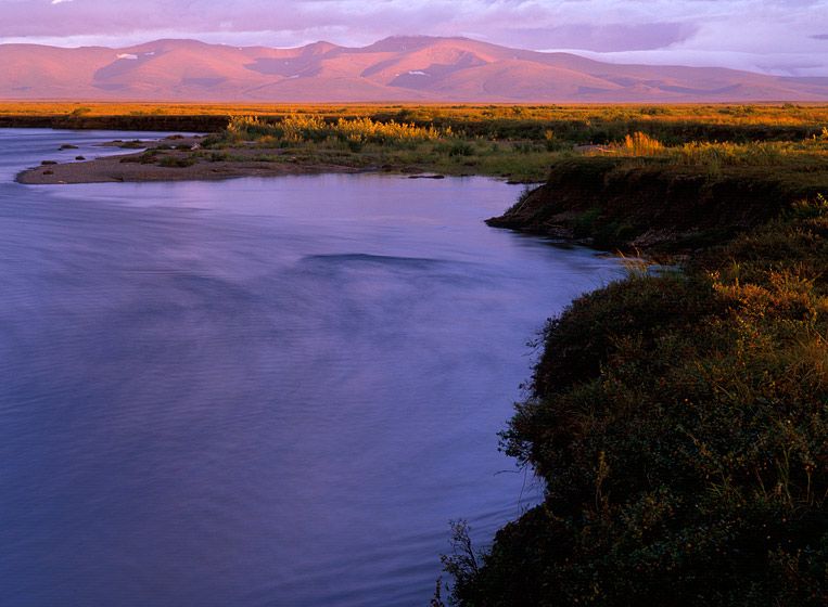 LATE EVENING LIGHT, KANEKTOK RIVER, 1999
