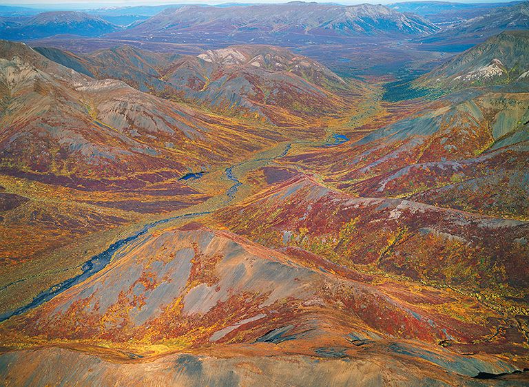 2006Photograph not currently available as print. For commercial use reproduction rights contact our studios at: peace2rth@mac.com 2006