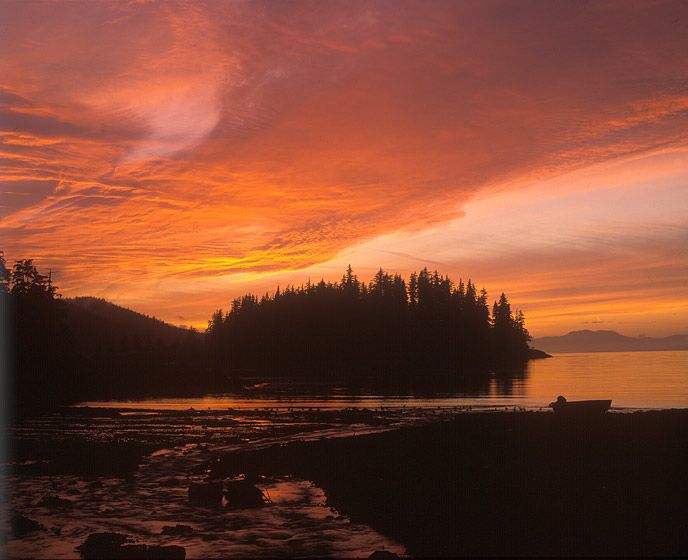 SMOKIN' AT THE END OF THE DAY, PORT PROTECTION, 1986