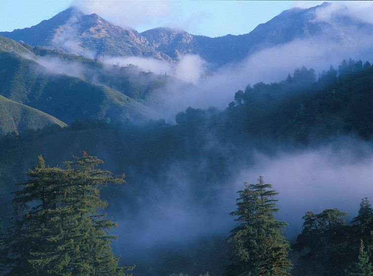 (UNTITLED)Photograph not currently available as print.  For commercial use and reproduction rights contact our studios at peace2rth@mac.com. (UNTITLED)