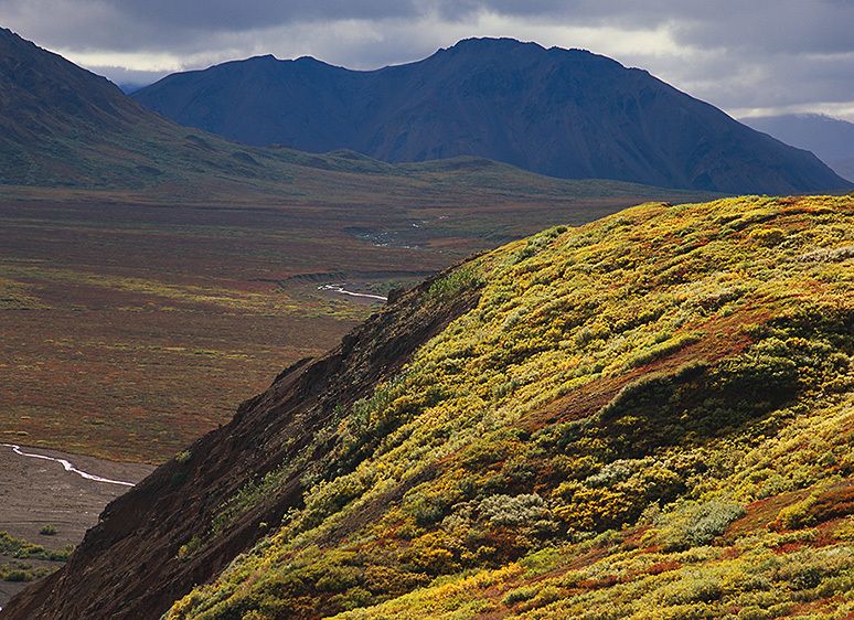 DIVIDE MOUNTAIN & THE PLAINS OF MURIE FROM POLYCHROME PASS, 2006