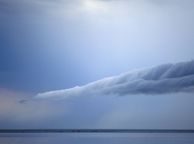 20" x 24" / $1,50024" x 30" / $2,25030" x 40" / $3,500The signed, limited edition of 33, includes all of the above sizes. Print will be shipped directly to client's framer. 1329_nwp_645_4k_8b