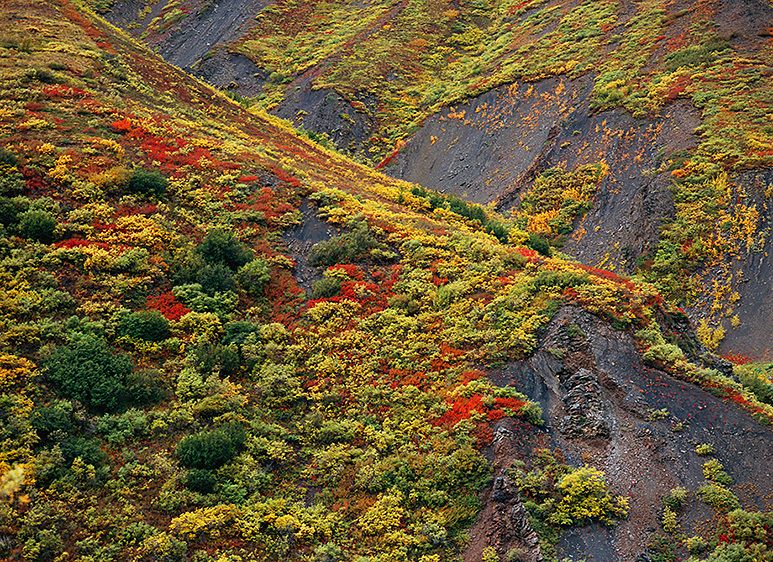 FALL FOOTHILLS, 2009Photograph not currently available as print. For commercial use reproduction rights contact our studios at: peace2rth@mac.com FALL FOOTHILLS, 2009