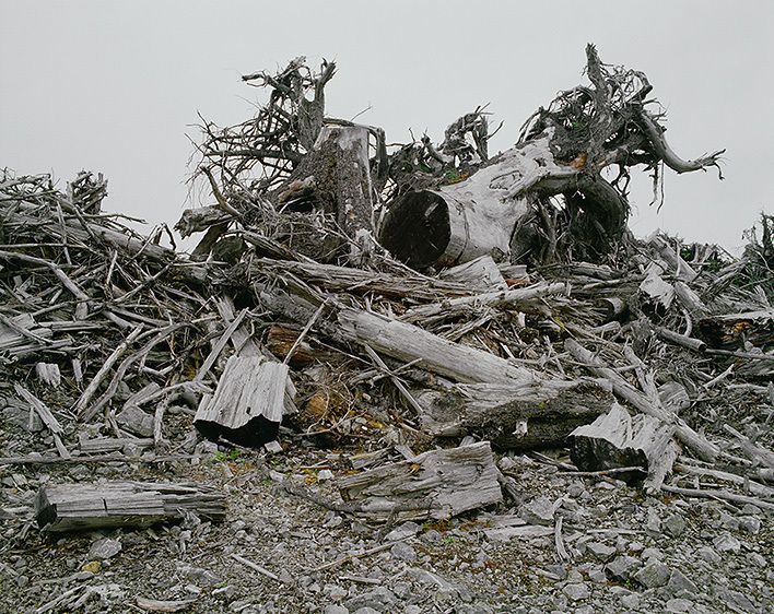 ROOTWADS AND SLASH / ODE TO WOODIE, 1986