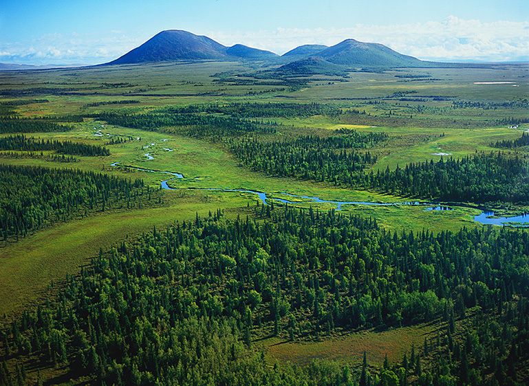 PEBBLE MINE SITE, 200720” x 24” / $1,50024” x 30” / $2,25030” x 40” / $3,500The signed, limited edition of 33, includes all of the above sizes. Print will be shipped directly to client's framer.48" x 65" edition of 3Current price: $6,500 PEBBLE MINE SITE, 2007