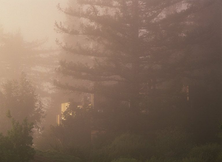 (UNTITLED)Photograph not currently available as print.  For commercial use and reproduction rights contact our studios at peace2rth@mac.com. (UNTITLED)