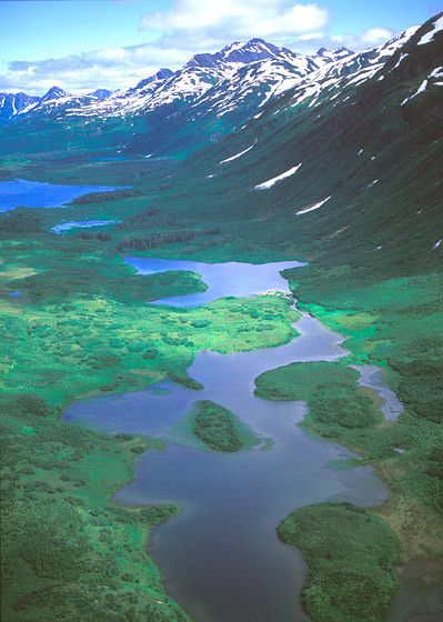 A MAZE OF LAKES AND MOUNTAINS,  2001