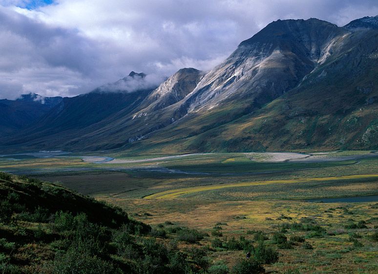 (UNTITLED)Photograph not currently available as print. For commercial use and reproduction rights contact our studios at peace2rth@mac.com. (UNTITLED)